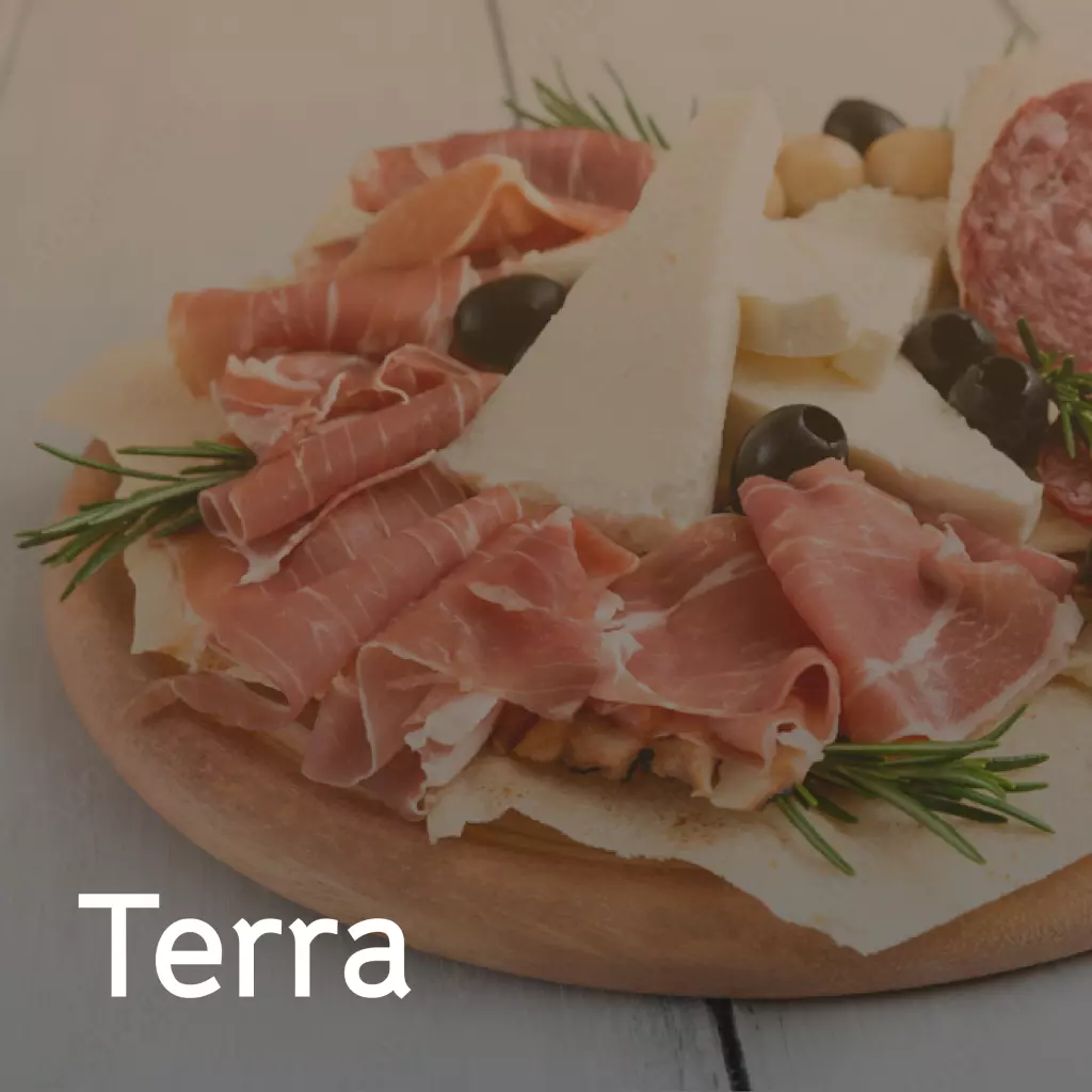 Terra
